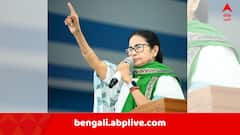 'যারা দেশকে ধ্বংস করায় মেতেছে, তাঁদের বিরুদ্ধে..', সম্প্রীতি দিবসে ঐক্যের বার্তা মুখ্যমন্ত্রীর