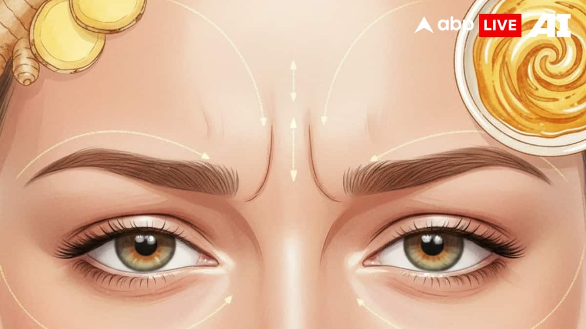 (Image Source: ABPLIVE AI)
