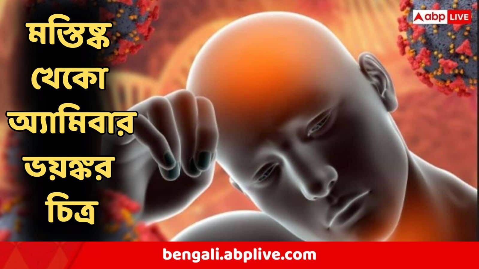 Brain-Eating Amoeba : ১ বছরে চতুর্গুণ বেড়েছে কেরলে মস্তিষ্ক-খেকো অ্যামিবার সংক্রমণ! সংসদের আলোচনায় আতঙ্কের চিত্র