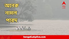 হুড়মুড়িয়ে নামল পারদ! শহরে আজ কনকনে শীত, কত হল তাপমাত্রা?