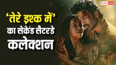 'तेरे इश्क में' गजब कर रही, 'धुरंधर' के सामने बनने जा रही 100 करोड़ी!