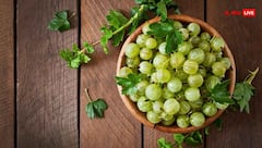 सर्दियों में घर पर भी बना सकते हैं च्यवनप्राश, नोट कर लें ये रेसिपी