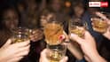 Alcohol Effects: गाड़ी तेरा भाई चलाएगा... दारू पीने के बाद क्यों बढ़ जाता है कॉन्फिडेंस, शरीर में कैसे होता है केमिकल लोचा?
