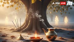 Paush Month 2025: Know Why This Period Is Known As ‘Chota Pitru Paksh’ And Key Dates For Pitru Puja