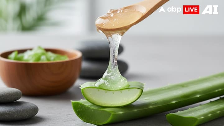 2. Aloe Vera Gel: Aloe vera is a powerhouse ingredient for healing dry and irritated skin, and your scalp is no exception. Its cooling, anti-inflammatory and deeply hydrating nature makes it one of the best remedies for dry scalp relief. Aloe vera contains enzymes that gently exfoliate dead skin cells, helping to reduce flakiness and buildup. To use, extract fresh aloe vera gel and apply it directly to your scalp. Leave it on for 30–45 minutes before rinsing with lukewarm water or a gentle shampoo. Aloe works beautifully for people with itchy scalp, sunburned scalp, psoriasis-related dryness, or dandruff. When used consistently, aloe vera restores the scalp’s natural pH balance and encourages a healthier hair environment. (Image Source: ABPLIVE AI)