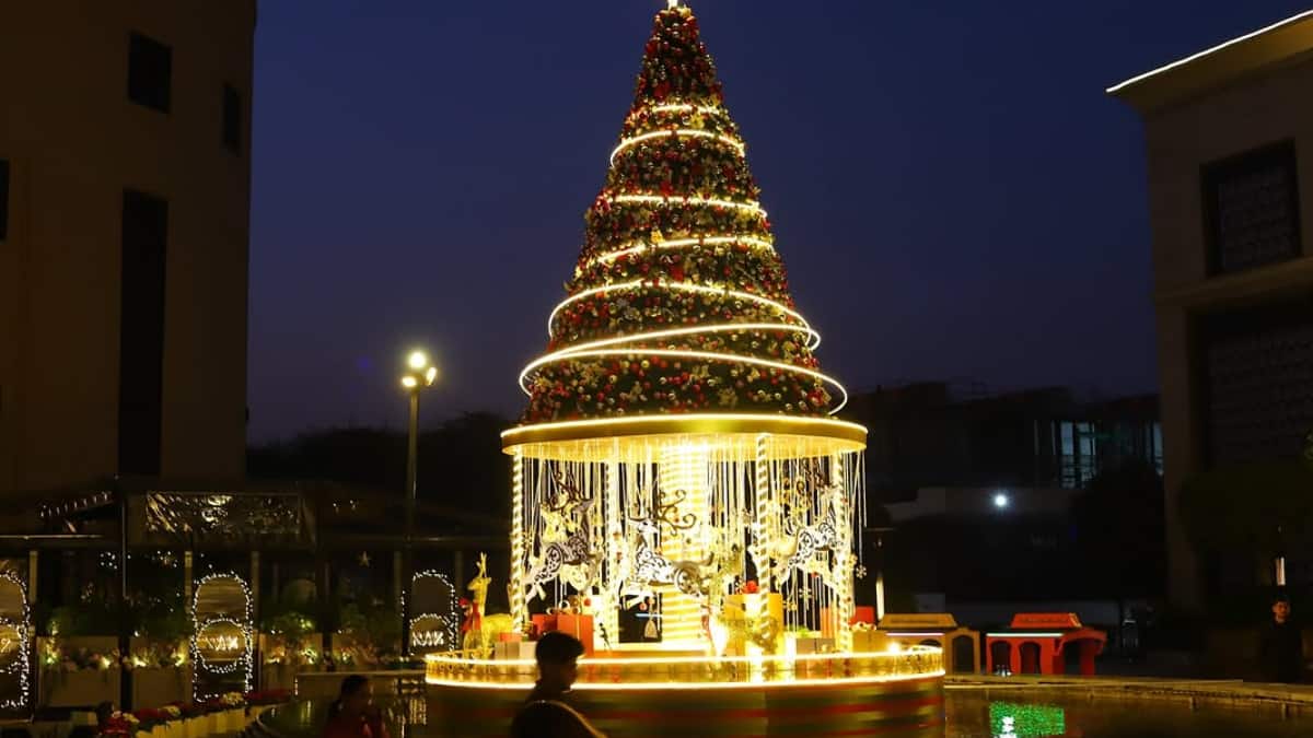 (Image Source: Instagram/@whatsupnewdelhi)