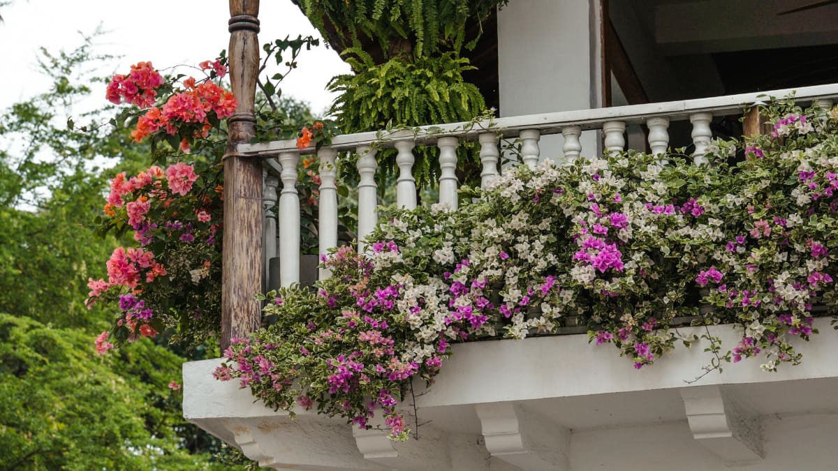 8 Balcony Design Ideas To Transform Compact Spaces Into Stylish Retreats