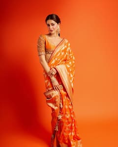 तोता प्रिंट बनारसी साड़ी में बला की खूबसूरत लगीं अनन्या पांडे, पांचवीं फोटो देख फैंस बोले- उफ्फफ