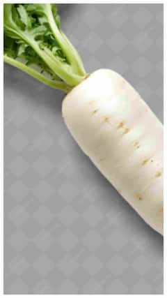 मुळा खाण्याची योग्य वेळ कोणती?