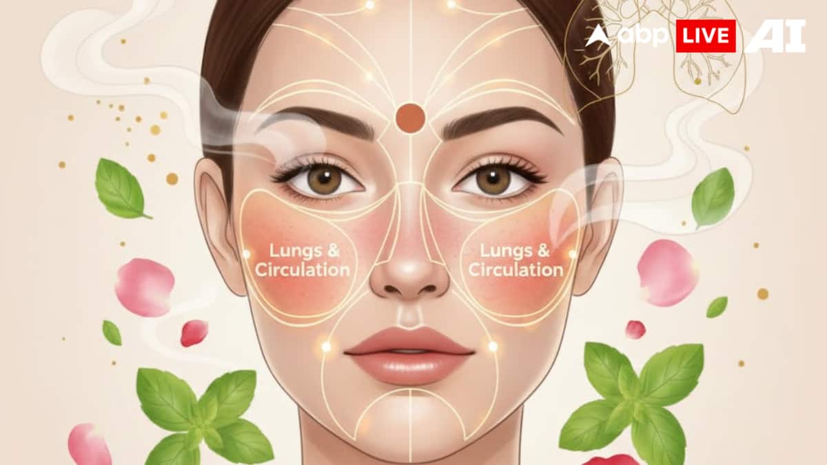 (Image Source: ABPLIVE AI)