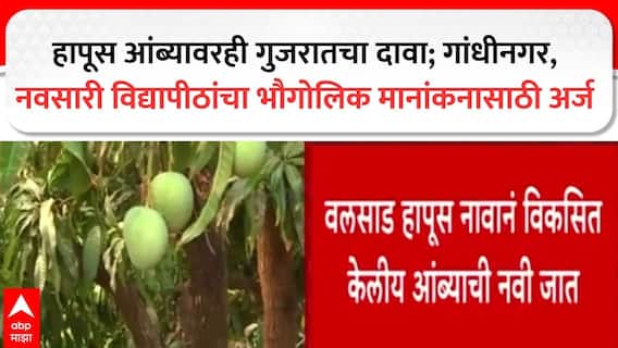 Hapus Mango हापूस आंब्यावरही गुजरातचा दावा; गांंधीनगर,नवसारी विद्यापीठांचा भौगोलिक मानांकनासाठी अर्ज