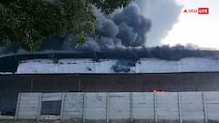 हरदोई में दोने-पत्तल की फैक्ट्री में भीषण आग, कई घंटों की मशक्कत के बाद दमकलकर्मियों ने पाया काबू