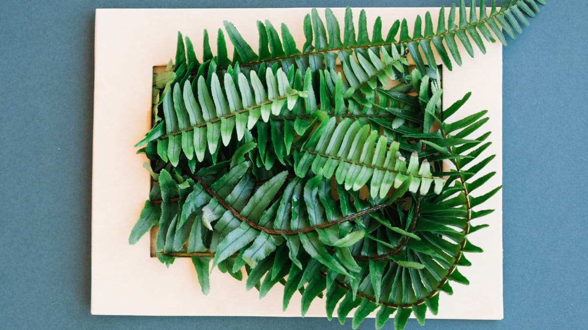 (Image Source: freepik)