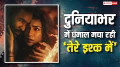 दुनियाभर में भी गदर मचा रही 'तेरे इश्क में’, छप्परफाड़ है 8 दिनों का वर्ल्डवाइड कलेक्शन