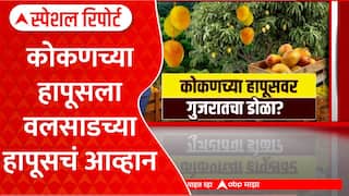 Hapus Mango Konkan vs Gujarat Valsad Mango: कोकणच्या हापूसला वलसाडच्या हापूसचं आव्हान Special Report