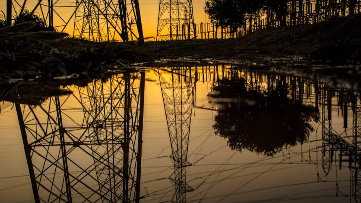 The Art of Baking: From Classic Bread to Artisan Pastries