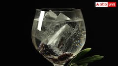 रम और व्हिस्की से कितनी अलग होती है जिन, क्या इसमें अल्होकल की मात्रा होती है ज्यादा?