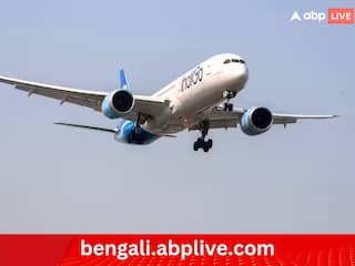 IndiGo Crisis: ইন্ডিগো সংকটের ফল ! বিমানযাত্রীদের জন্য ভাড়া বেঁধে দিল সরকার, কত পড়বে টিকিটের দাম ?