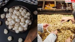 मूंगफली या मखाना... वजन घटाने के लिए कौन-सा स्नैक्स बेस्ट? देख लें पूरी रिपोर्ट