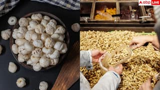 Low Calorie Snacks: मूंगफली या मखाना... वजन घटाने के लिए कौन-सा स्नैक्स बेस्ट? देख लें पूरी रिपोर्ट