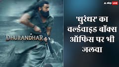 भारतीय फिल्म ने मचाई दुनियाभर के बॉक्स ऑफिस पर 'धुरंधर' तबाही