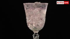 General Knowledge: રમ અને વ્હિસ્કીથી કેટલું અલગ છે જિન? શું તેમાં વધુ હોય છે આલ્કોહોલિકનું પ્રમાણ?