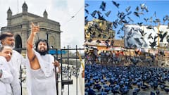 कबुतरखान्यावरुन वाद पेटवून समाजाचं भलं होणार? जैन मुनी निलेशचंद्र यांना महाराष्ट्र धर्माचा विसर पडतोय का?