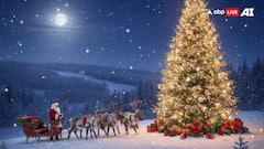Christmas 2025: Meet The Iconic Characters Of Christmas Who Bring The Festive Magic Alive