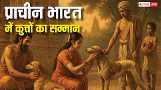 प्राचीन भारत में कुत्तों के प्यार और सम्मान की कहानी! ऋग्वेद से लेकर महाभारत तक छोड़ी अपनी छाप