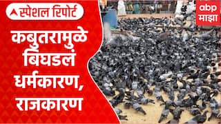 Jain Muni Kabutarkhana : कबुतरामुळे बिघडलं धर्मकारण, राजकारण Special Report
