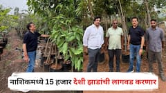 इकडं तपोवनातील वृक्षतोडीविरोधात एल्गार सुरु असतानाच गिरीश महाजन राजमुद्रीला पोहोचले, नाशिकमध्ये 15 हजार देशी झाडांची लागवड करणार