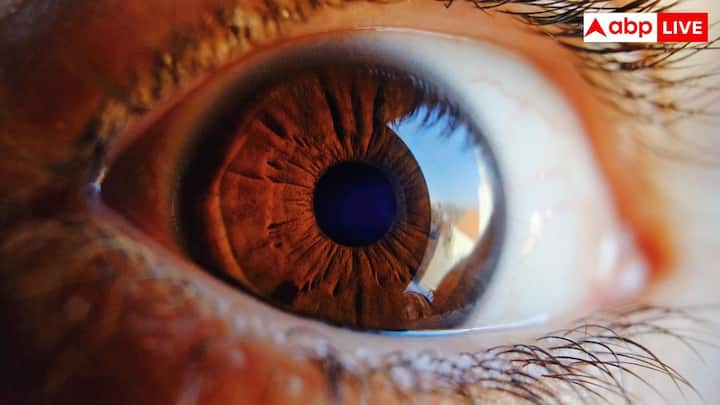 भूरी आंखें दुनिया में सबसे ज्यादा आम है. ऐसा इसलिए क्योंकि इनमें बड़ी मात्रा में मेलानिन होता है. ज्यादा मेलानिन का मतलब है गहरे रंग. मेलानिन की यह ज्यादा मात्रा यूवी रेडिएशन से बेहतर सुरक्षा भी देती है.