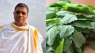 Winter Superfood : কিডনি, লিভারের স্বাস্থ্য ফিরিয়ে দেয় বেতো শাক, দাবি আচার্য বালকৃষ্ণর