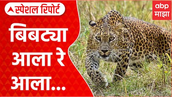 Pune Bibtya : बिबट्या आला रे आला...भल्या सकाळी पुणेकरांची तारांबळ उडाली Special Report