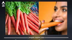 ਕਿਹੜੇ ਲੋਕਾਂ ਨੂੰ ਗਾਜਰ ਖਾਣ ਤੋਂ ਕਰਨਾ ਚਾਹੀਦਾ ਪਰਹੇਜ਼! ਜਾਣੋ ਕਿਹੜੇ ਲੋਕਾਂ ਲਈ ਲਾਹੇਵੰਦ, ਕਿੰਨੀ ਮਾਤਰਾ ਖਾਣੀ ਰਹਿੰਦੀ ਸਹੀ