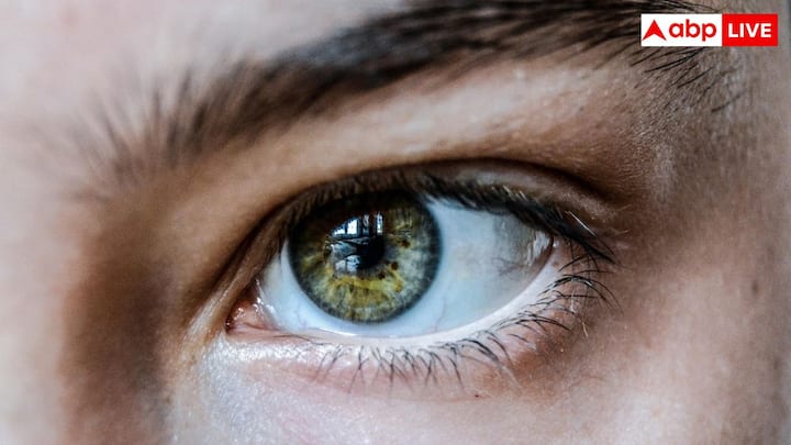 हरी आंखें तब होती है जब आइरिस में कम मेलानिन होता है. लेकिन इसमें लिपोक्रोम नाम का एक पीला पिगमेंट भी शामिल होता है. जब नीली रोशनी का फैलाव इस पिले पिगमेंट के साथ मिलता है तब हरा रंग दिखाई देता है.