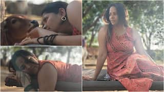 Anasuya Bharadwaj Farmhouse: ఫామ్ హౌస్లో ఆవు దూడలతో అనసూయ ఆటలు... వింటర్ వీకెండ్ డైరీస్