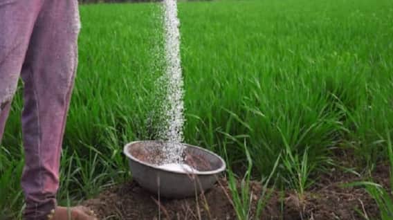 Punjab News: ਪੰਜਾਬ ਦੇ ਕਿਸਾਨ ਫਸਲਾਂ ਨੂੰ ਪਾਈ ਜਾ ਰਹੇ ਨਕਲੀ ਖਾਦਾਂ! ਰਿਪੋਰਟ 'ਚ ਹੋਇਆ ਵੱਡਾ ਖੁਲਾਸਾ