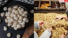 Low Calorie Snacks: મગફળી કે મખાના... વજન ઘટાડવા માટે કયો નાસ્તો છે શ્રેષ્ઠ?