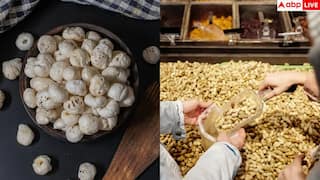 Low Calorie Snacks: મગફળી કે મખાના... વજન ઘટાડવા માટે કયો નાસ્તો છે શ્રેષ્ઠ?