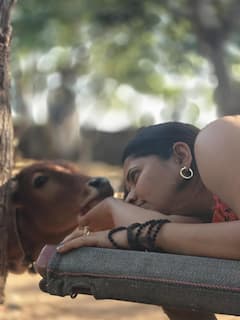 Anasuya Bharadwaj Farmhouse: ఫామ్‌ హౌస్‌లో ఆవు దూడలతో అనసూయ ఆటలు... వింటర్ వీకెండ్ డైరీస్