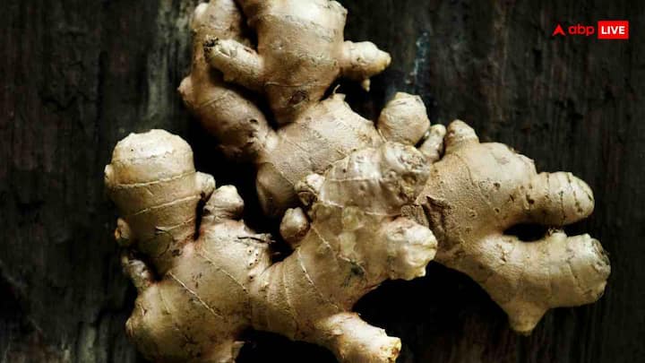 अदरक एंटीऑक्सीडेंट और एंटी-बैक्टीरियल गुणों से भरपूर होता है. यह शरीर की इम्यूनिटी बढ़ाने में मदद करता है. रोज थोड़ी मात्रा में अदरक खाने से आप सर्दी-जुकाम, वायरल इन्फेक्शन और खांसी जैसी बीमारियों से लड़ने के लिए ज्यादा मजबूत बनते हैं.