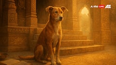 प्राचीन भारत में कुत्तों के प्यार और सम्मान की कहानी! ऋग्वेद से लेकर महाभारत छोड़ी अपनी छाप