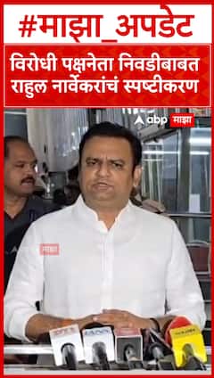 Rahul Narvekar on Opposition Leader : विरोधी पक्षनेता निवडीबाबत राहुल नार्वेकरांचं स्पष्टीकरण