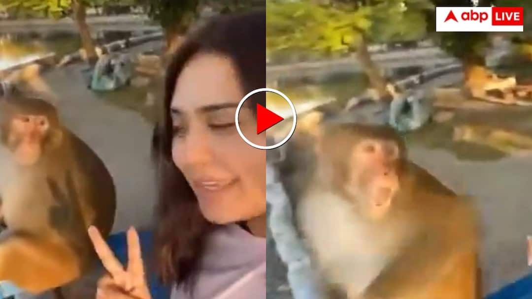 Monkey Attack on girl papa ki pari while taking Selfie in park video goes viral Video: 
