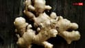 Ginger Benefits in Winter: શિયાળામાં આદુના સેવનથી થશે આ ચોંકાવનારા ફાયદા, જાણીને તમે આજે જ ખાવાનું શરુ કરશો