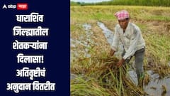 धाराशिव जिल्ह्यातील शेतकऱ्यांना दिलासा! अतिवृष्टीचे 1 हजार 278 कोटी रुपयांचे अनुदान वितरीत