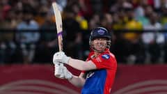 IPL’s Ultimate Run Machines: Top 5 All-Time Highest Run-Scorers