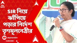 Mamata Banerjee: কোচবিহারের দলের মধ্যেই চলতে থাকা দ্বন্দ্ব নিয়ে কড়া বার্তা তৃণমূলনেত্রীর