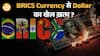 Kiyosaki का बड़ा दावा: BRICS ने बनाई Gold Currency! असली सच्चाई क्या है ? Paisa Live